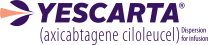 Footer yescarta logo